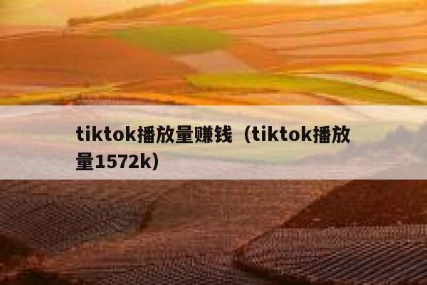 tiktok播放量赚钱（tiktok播放量1572k） 第1张