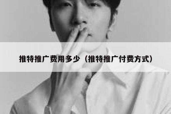 推特推广费用多少（推特推广付费方式） 第1张