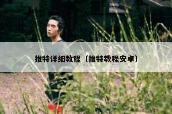 推特详细教程（推特教程安卓） 第1张