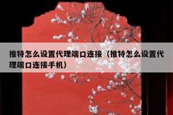 推特怎么设置代理端口连接（推特怎么设置代理端口连接手机） 第1张