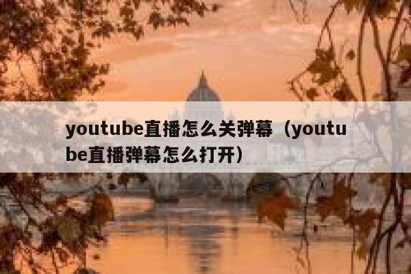youtube直播怎么关弹幕（youtube直播弹幕怎么打开） 第1张