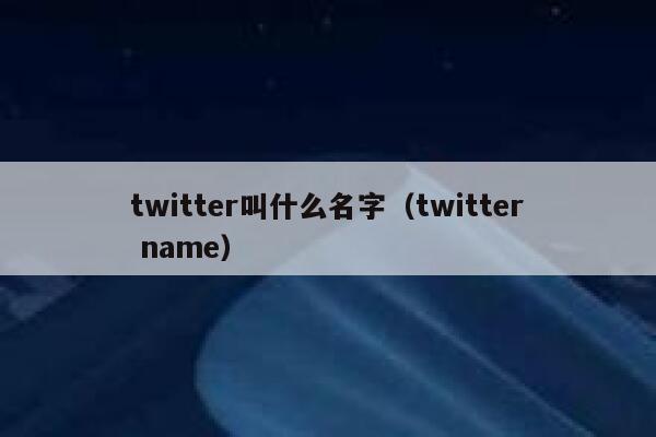 twitter叫什么名字（twitter name） 第1张