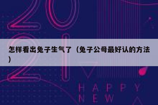 怎样看出兔子生气了(兔子公母最好认的方法) 第1张 怎样看出兔子生气了(兔子公母最好认的方法) 第1张