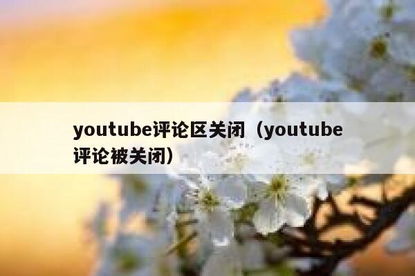 youtube评论区关闭(youtube评论被关闭) 第1张 youtube评论区关闭(youtube评论被关闭) 第1张