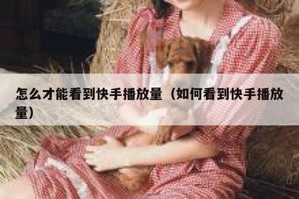 怎么才能看到快手播放量（如何看到快手播放量） 第1张