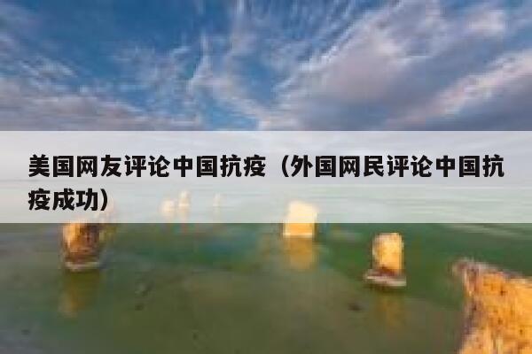 美国网友评论中国抗疫（外国网民评论中国抗疫成功） 第1张