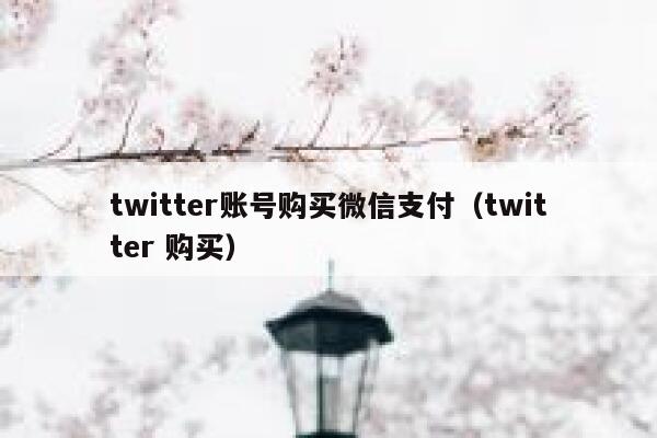 twitter账号购买微信支付（twitter 购买） 第1张