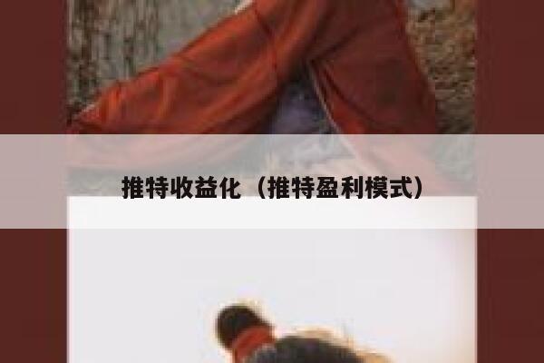 推特收益化（推特盈利模式） 第1张