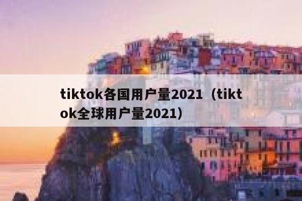tiktok各国用户量2021（tiktok全球用户量2021） 第1张