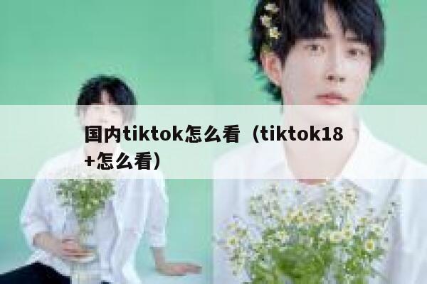 国内tiktok怎么看（tiktok18+怎么看） 第1张