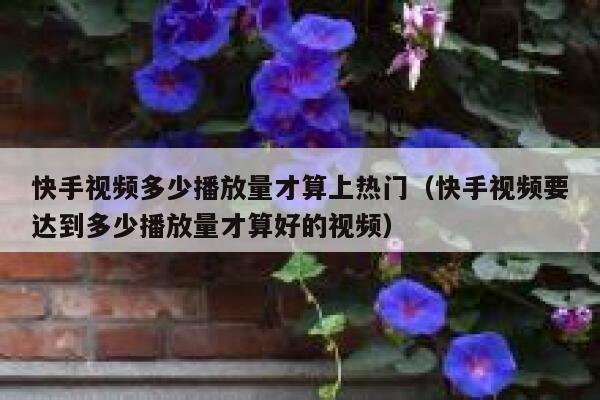 快手视频多少播放量才算上热门（快手视频要达到多少播放量才算好的视频） 第1张