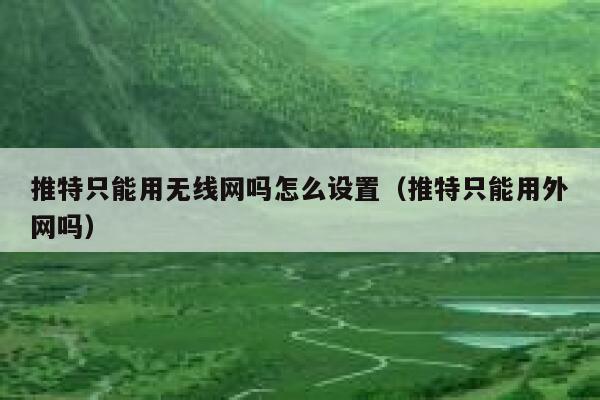 推特只能用无线网吗怎么设置（推特只能用外网吗） 第1张