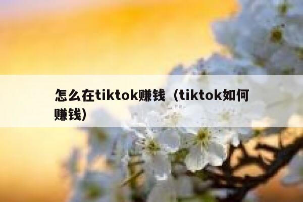 怎么在tiktok赚钱（tiktok如何赚钱） 第1张