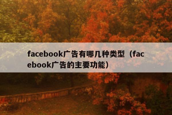 facebook广告有哪几种类型（facebook广告的主要功能） 第1张