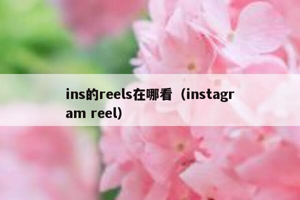 ins的reels在哪看（instagram reel） 第1张