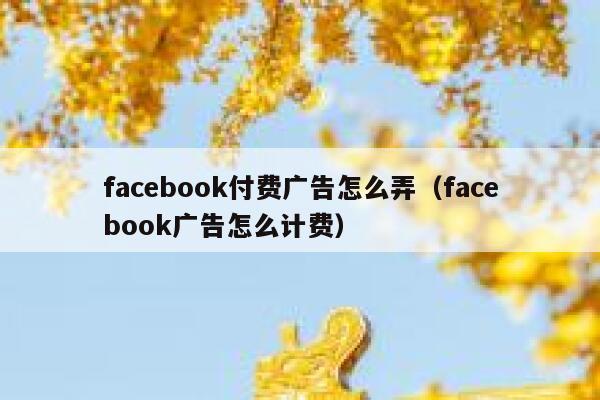 facebook付费广告怎么弄（facebook广告怎么计费） 第1张