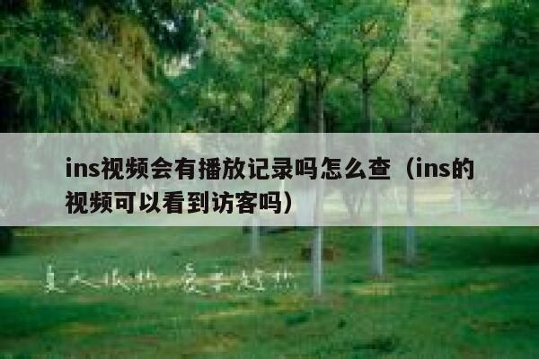 ins视频会有播放记录吗怎么查（ins的视频可以看到访客吗） 第1张