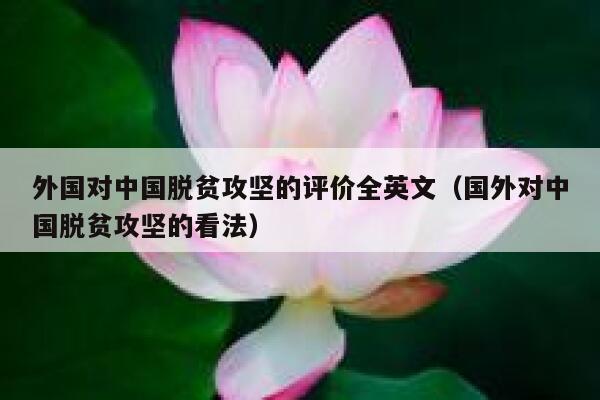 外国对中国脱贫攻坚的评价全英文（国外对中国脱贫攻坚的看法） 第1张