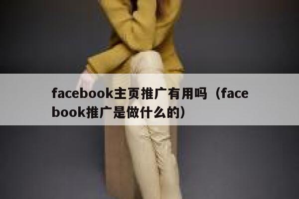 facebook主页推广有用吗（facebook推广是做什么的） 第1张