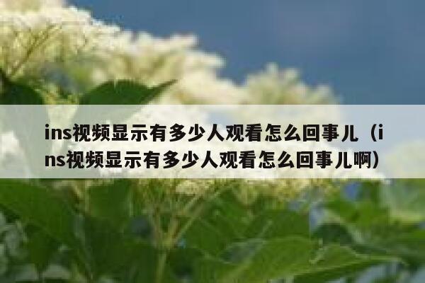 ins视频显示有多少人观看怎么回事儿(ins视频显示有多少人观看怎么回事儿啊) 第1张 ins视频显示有多少人观看怎么回事儿(ins视频显示有多少人观看怎么回事儿啊) 第1张