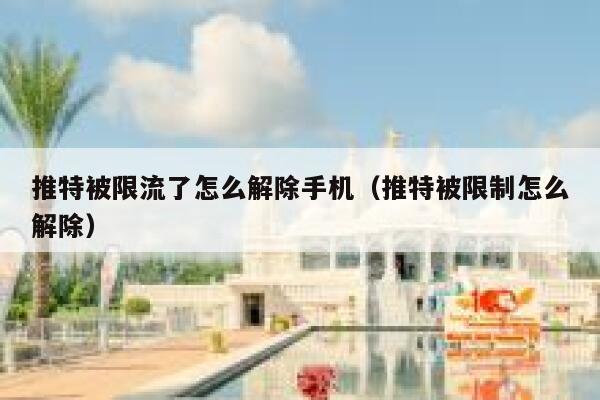推特被限流了怎么解除手机（推特被限制怎么解除） 第1张