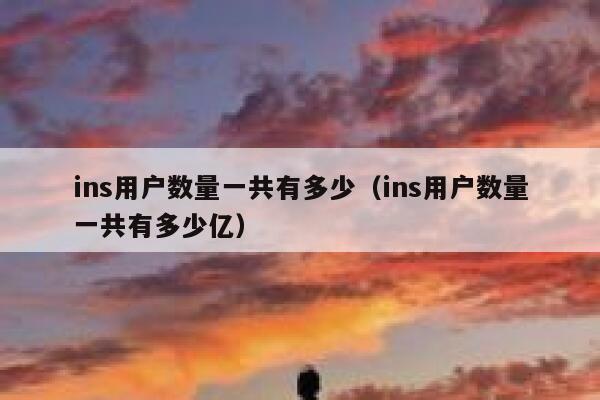 ins用户数量一共有多少（ins用户数量一共有多少亿） 第1张