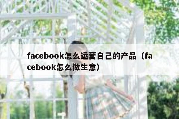 facebook怎么运营自己的产品（facebook怎么做生意） 第1张