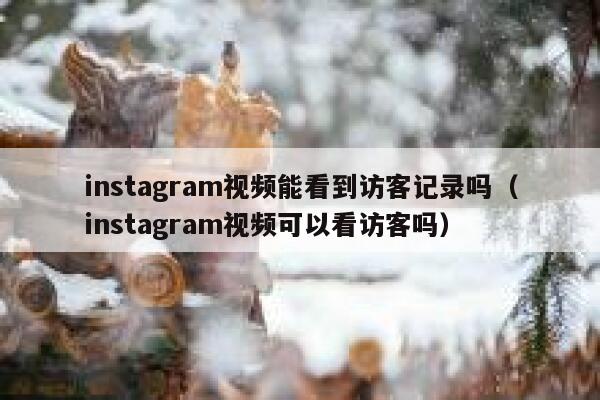 instagram视频能看到访客记录吗（instagram视频可以看访客吗） 第1张