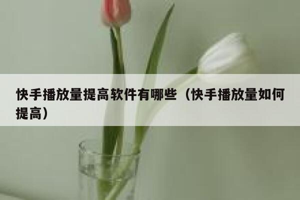 快手播放量提高软件有哪些（快手播放量如何提高） 第1张