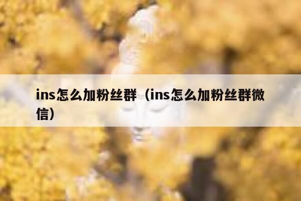 ins怎么加粉丝群（ins怎么加粉丝群微信） 第1张