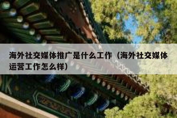海外社交媒体推广是什么工作（海外社交媒体运营工作怎么样） 第1张