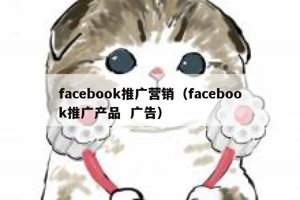 facebook推广营销（facebook推广产品  广告） 第1张