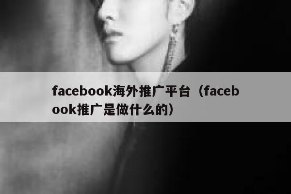 facebook海外推广平台（facebook推广是做什么的） 第1张