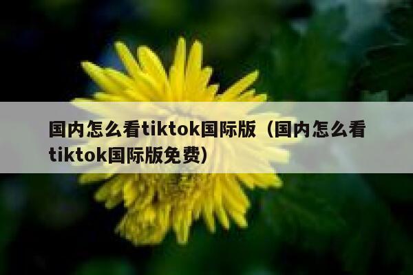 国内怎么看tiktok国际版（国内怎么看tiktok国际版免费） 第1张