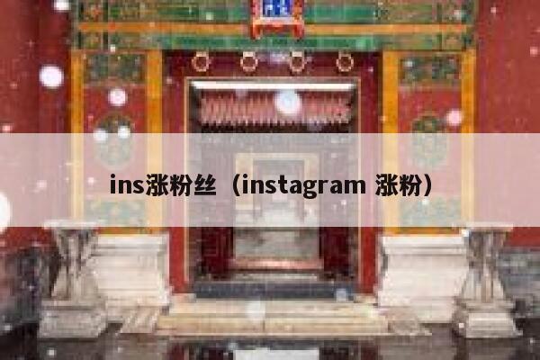ins涨粉丝（instagram 涨粉） 第1张