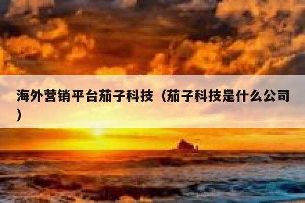 海外营销平台茄子科技（茄子科技是什么公司） 第1张