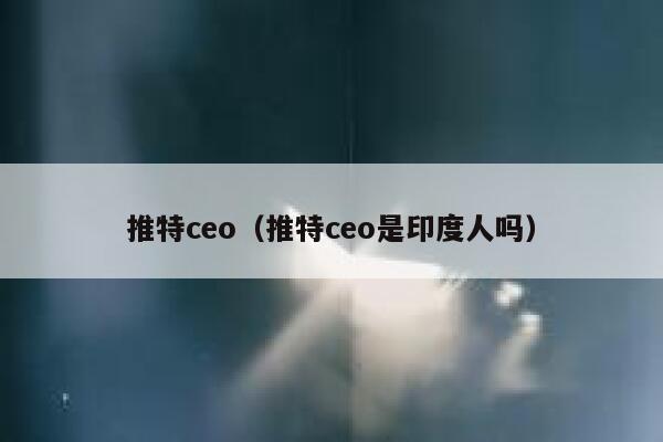 推特ceo（推特ceo是印度人吗） 第1张