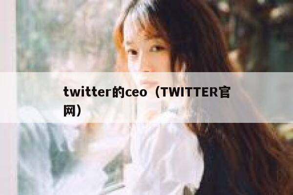 twitter的ceo（TWITTER官网） 第1张