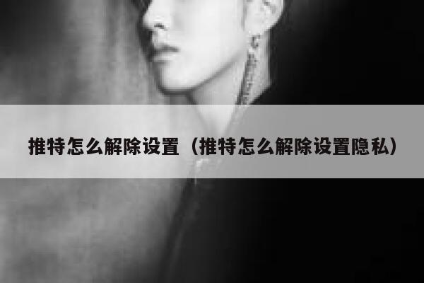 推特怎么解除设置（推特怎么解除设置隐私） 第1张