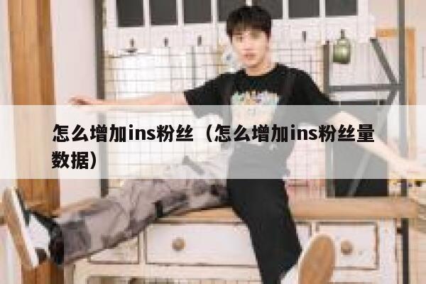 怎么增加ins粉丝（怎么增加ins粉丝量数据） 第1张