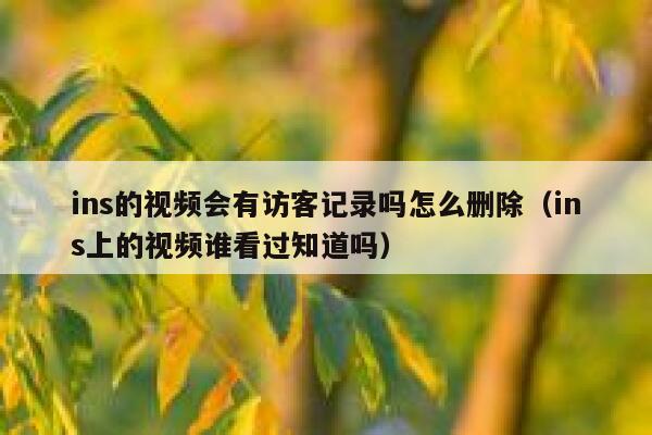 ins的视频会有访客记录吗怎么删除（ins上的视频谁看过知道吗） 第1张
