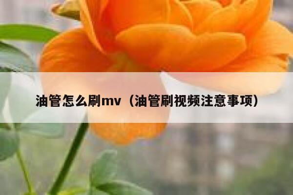 油管怎么刷mv（油管刷视频注意事项） 第1张