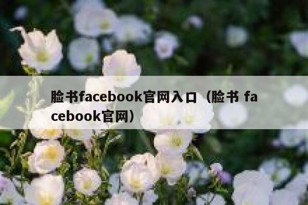 脸书facebook官网入口（脸书 facebook官网） 第1张