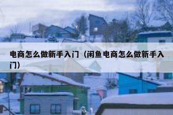 电商怎么做新手入门（闲鱼电商怎么做新手入门） 第1张