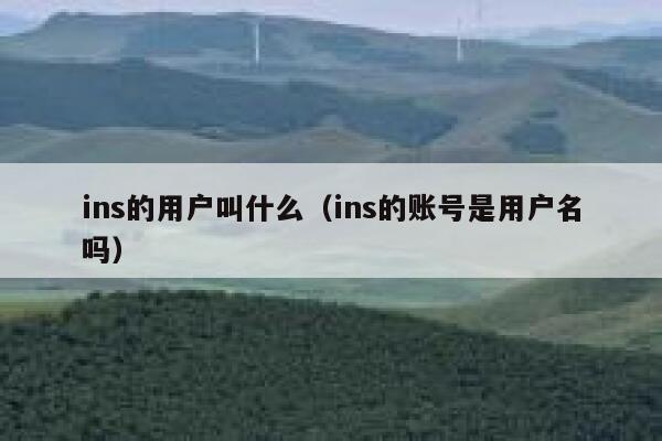 ins的用户叫什么（ins的账号是用户名吗） 第1张