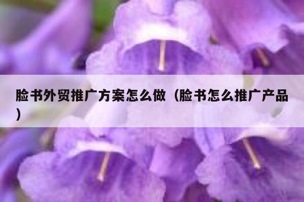 脸书外贸推广方案怎么做（脸书怎么推广产品） 第1张