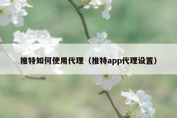推特如何使用代理（推特app代理设置） 第1张