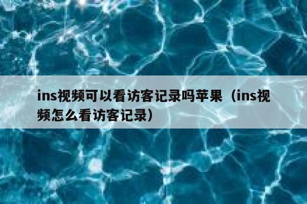 ins视频可以看访客记录吗苹果（ins视频怎么看访客记录） 第1张