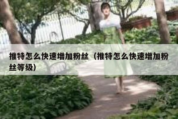推特怎么快速增加粉丝（推特怎么快速增加粉丝等级） 第1张