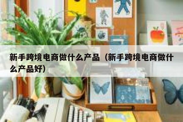 新手跨境电商做什么产品（新手跨境电商做什么产品好） 第1张